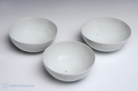 white bowls with blue floral design
